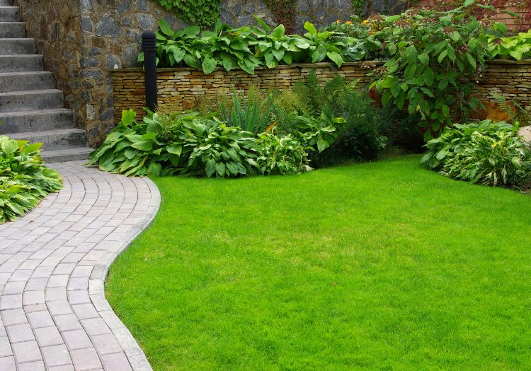 Jardinería y césped en puebla